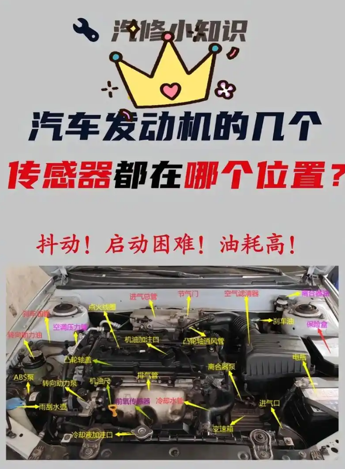f608f786f37ae56e81cfc8b248bc2b0a.png